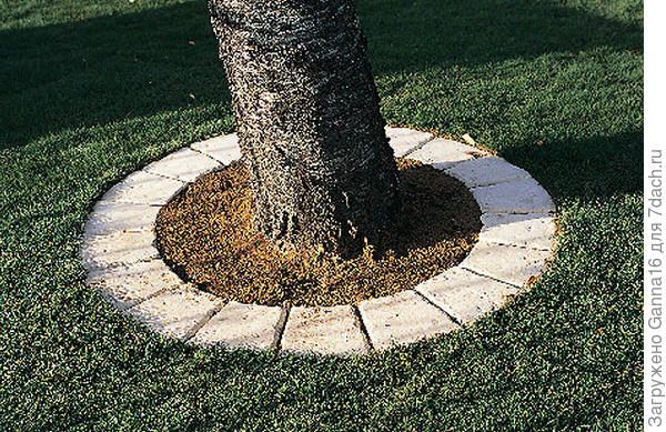 Стыки плитки обязательно забетонировать. Источник http://www.castorama.fr/store/Pave-Tour-darbre-Cloitre-sienne-PRDm295466.html