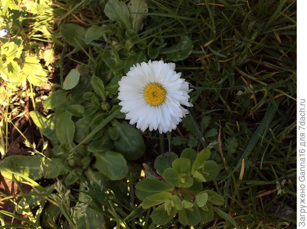 Плевать на холод