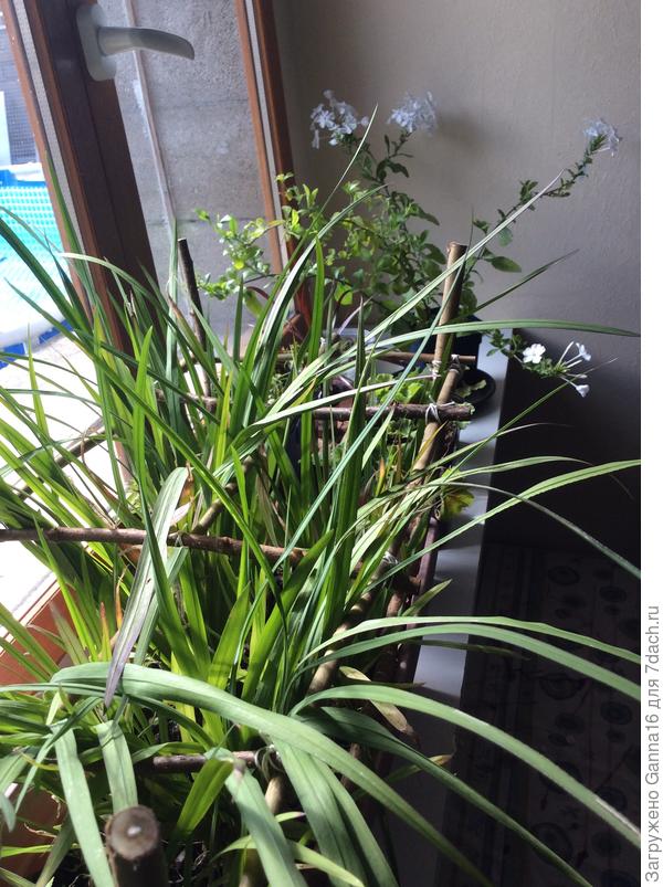 Конец сентября