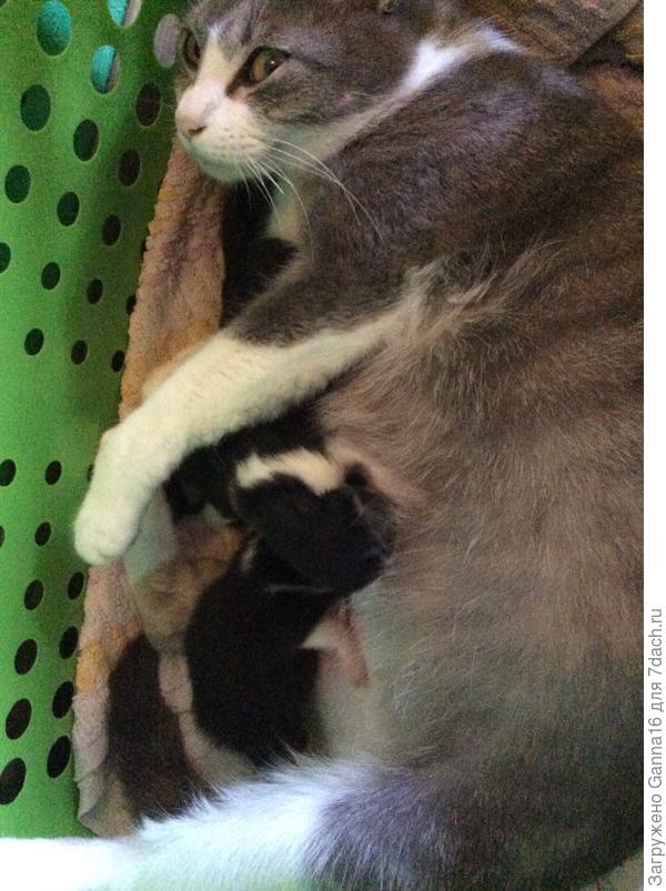 Не совсем согласна на фотосессию