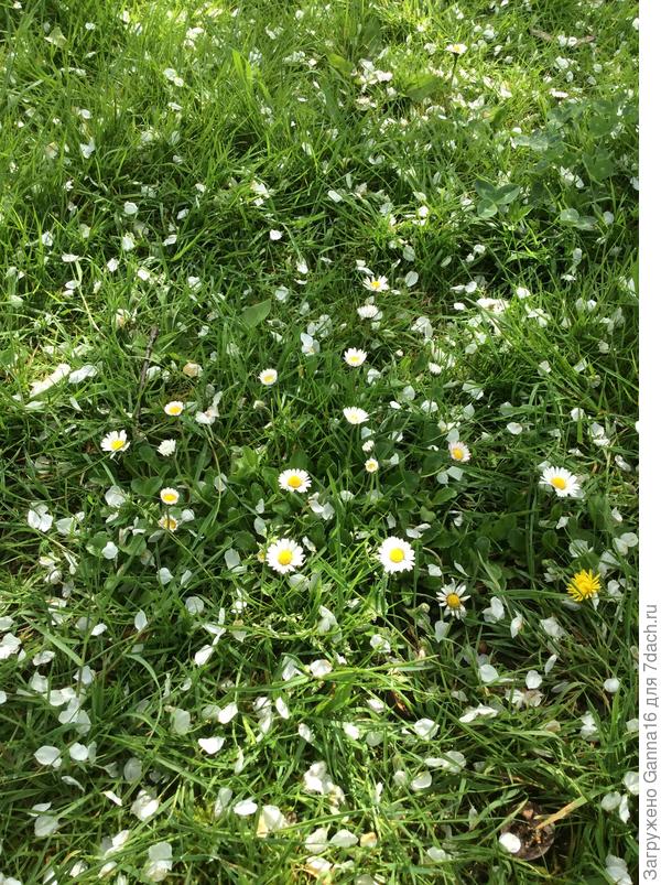 Южная &quot; зима&quot;