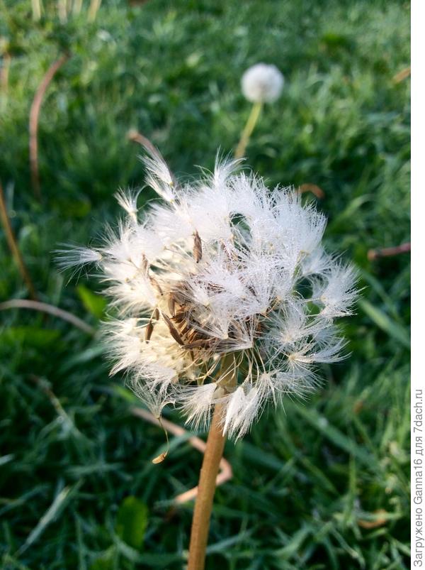 Утро после бурной ночи