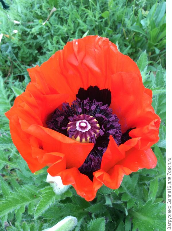 А вот это - тебе! Спасибо!