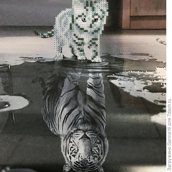 Такой вот котёнок- тигр