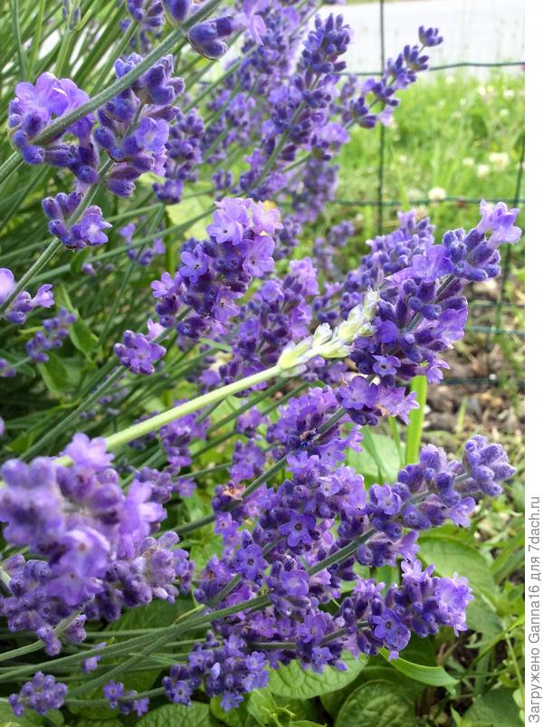 ...... красивого.....