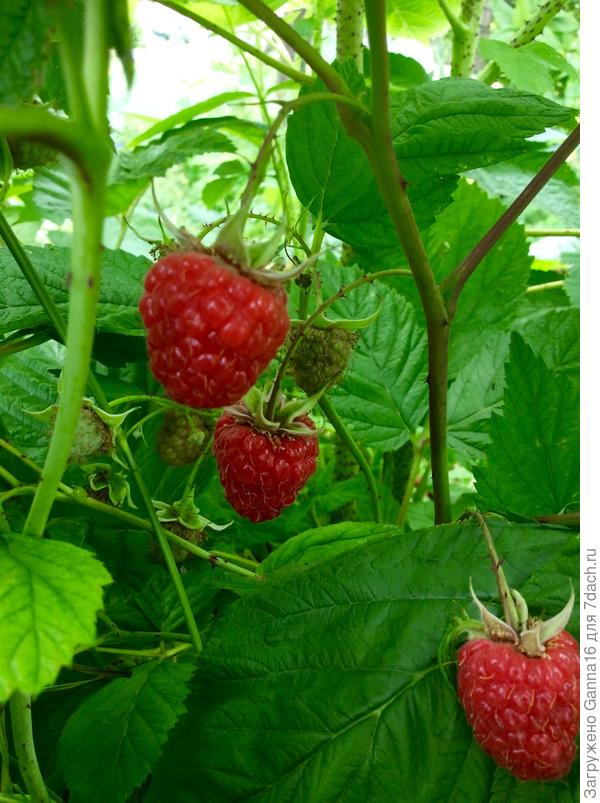 .... и вкусненького !