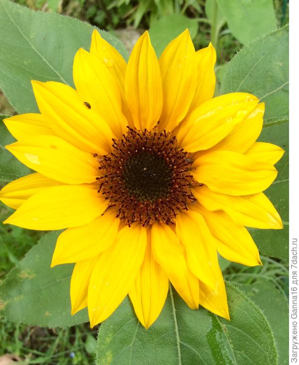 Самый первый в этом году