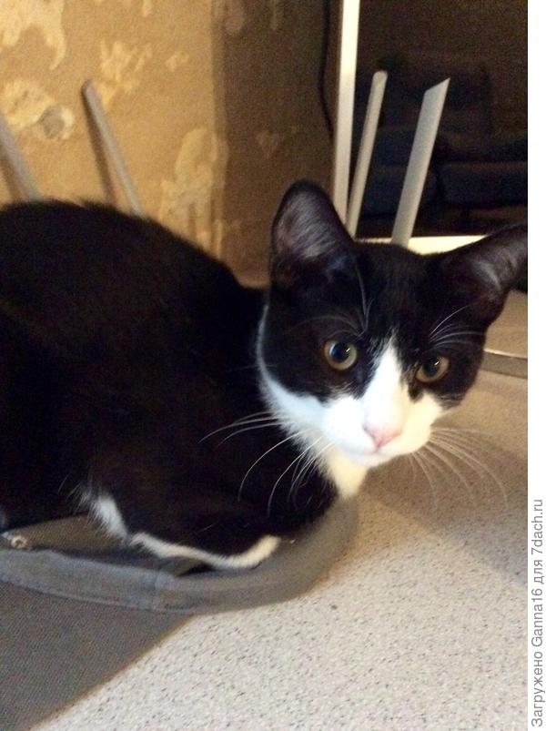 Друг Семён, попросту Сёма