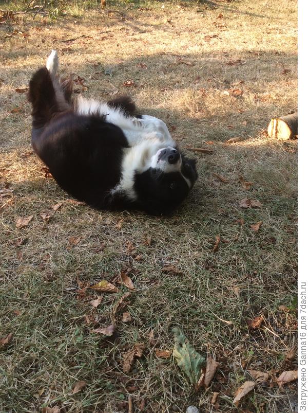 Бен позирует