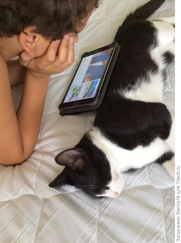 А мои ленятся