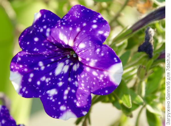 В середине сентября было так