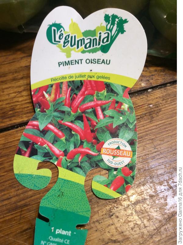 Его этикетка. В жизни очень похож