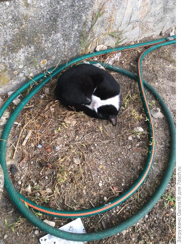 Клубочек в клубочке