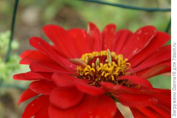 Счастья и радости тебе каждый день!