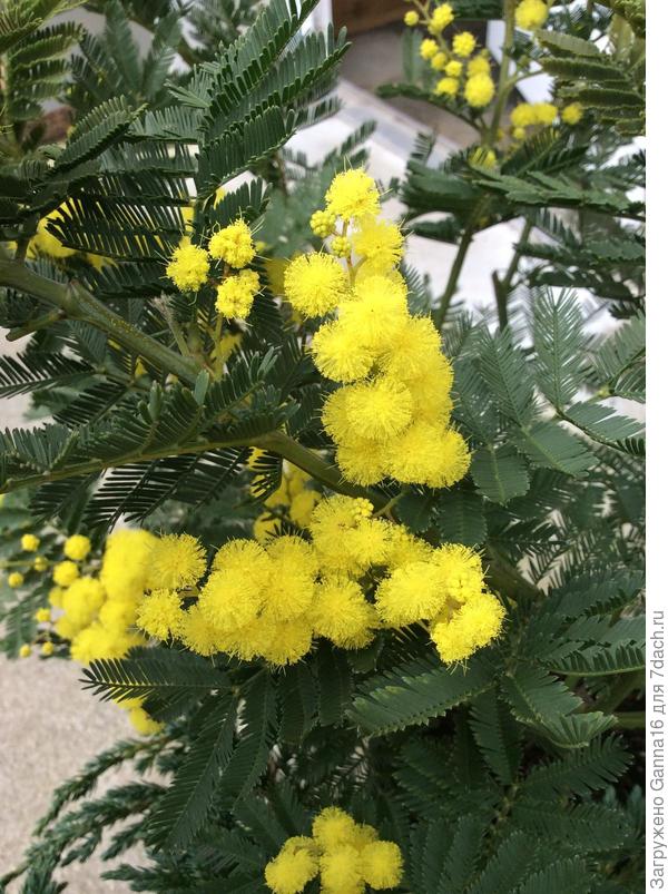 Февраль прошлого года