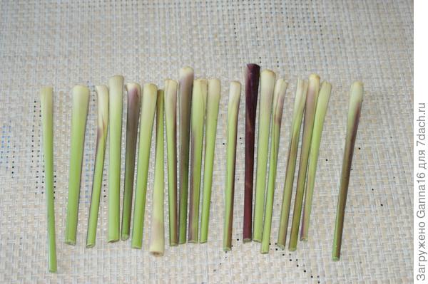 В таком виде заморожен