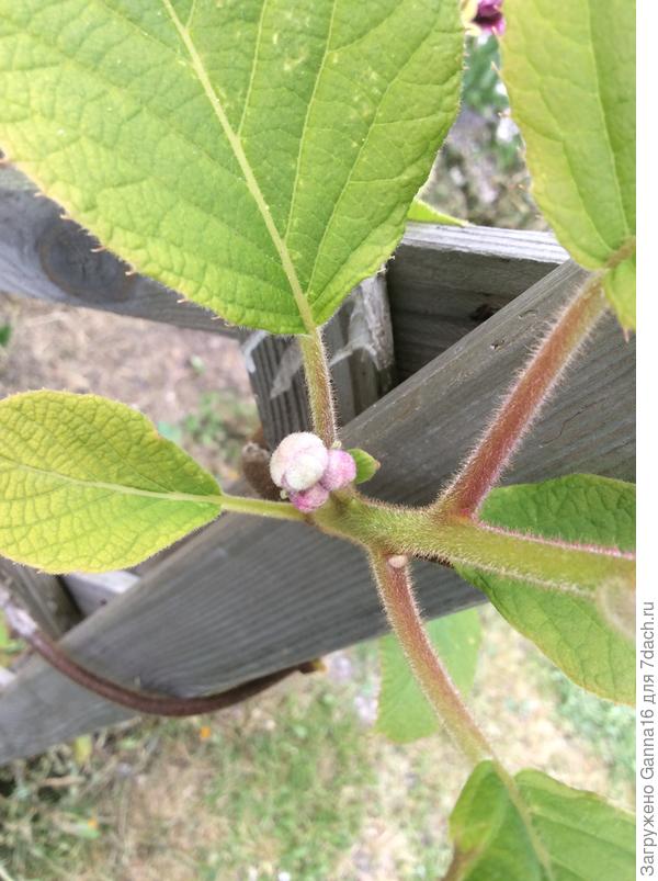 Есть несколько таких мест