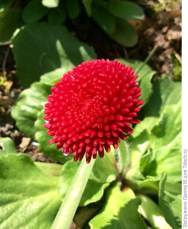 Фотки грузятся