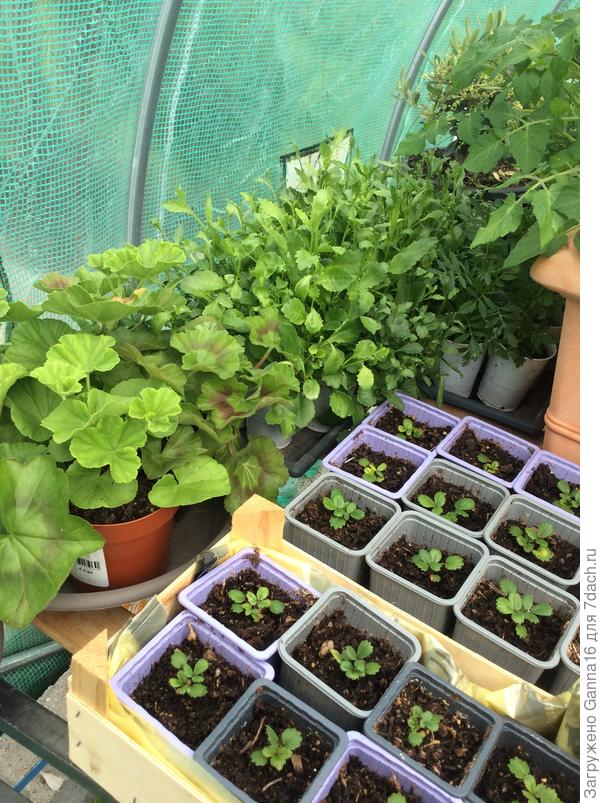 Скорей бы тепло!