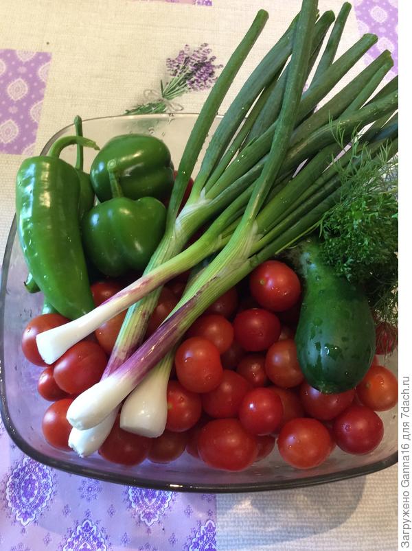 Будущая тюря