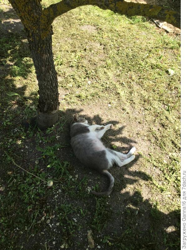 « Жизнь хороша...»