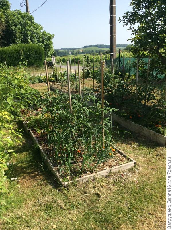 У нас совсем лето.Вон уже трава выгорать начала.