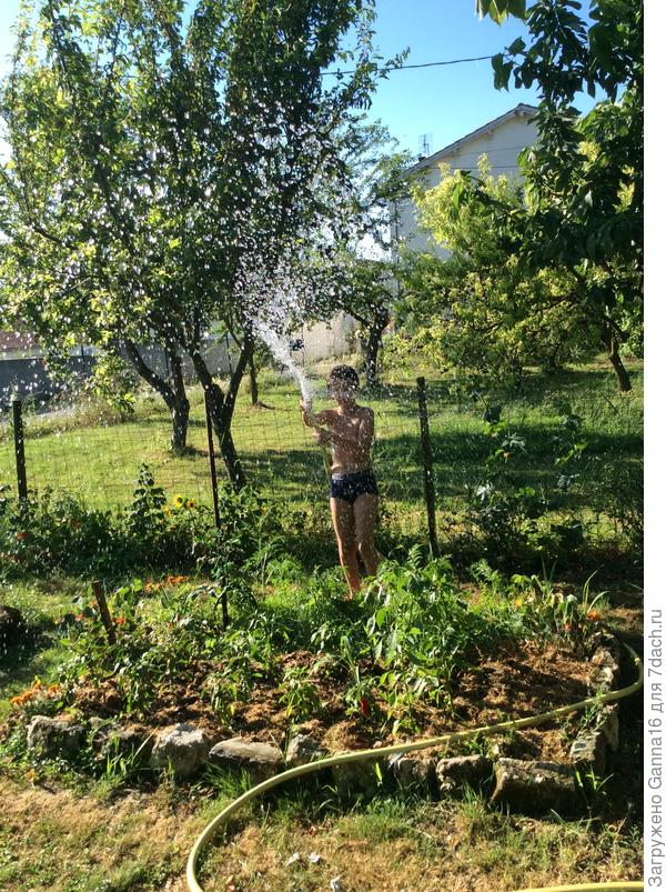 Лови! Все капельки в жару !