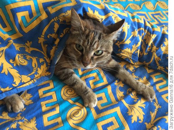 По пустякам не Беспокоить!!!! Биз.