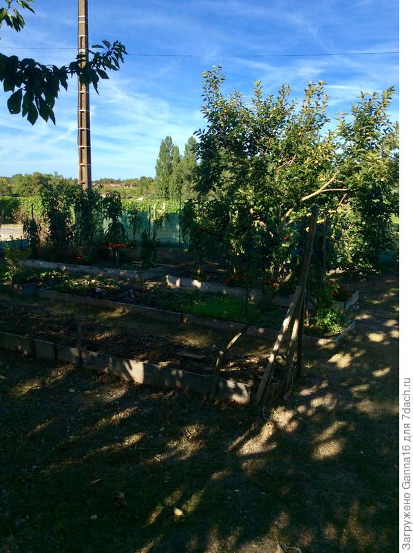 Огород почти убран....