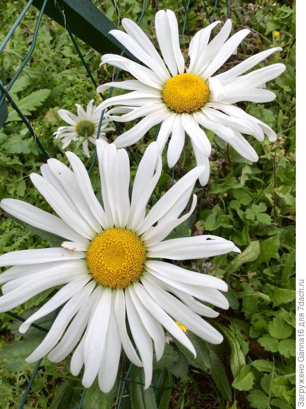 Только что засняла!