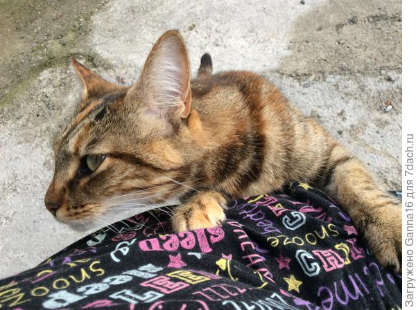 И на ручки пуууустишь