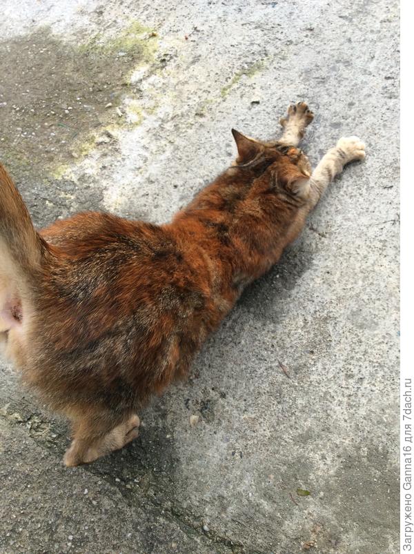 И гимнастику можно вместе....