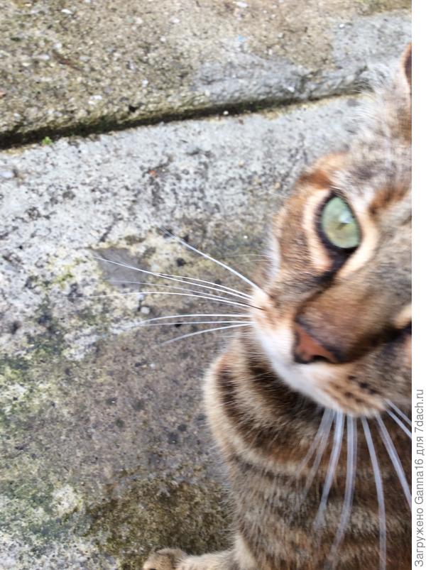 Но ты ведь меня любишь