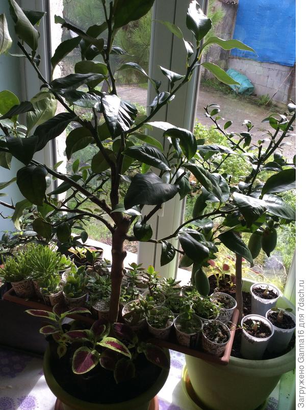 Места катастрофически не хватает