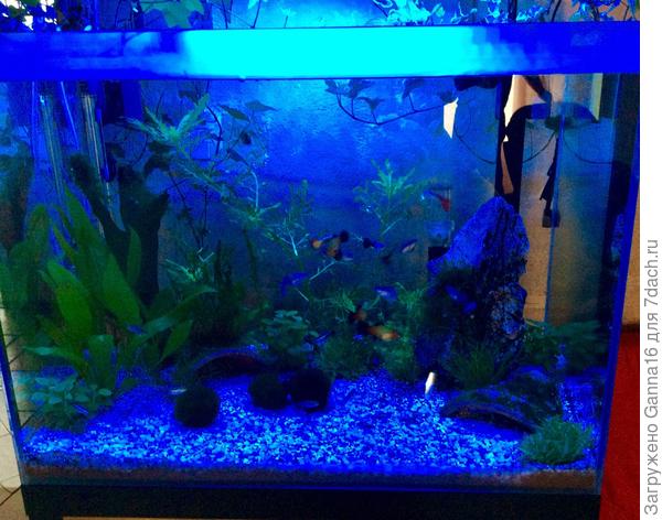 Функция &laquo; ночь&raquo;