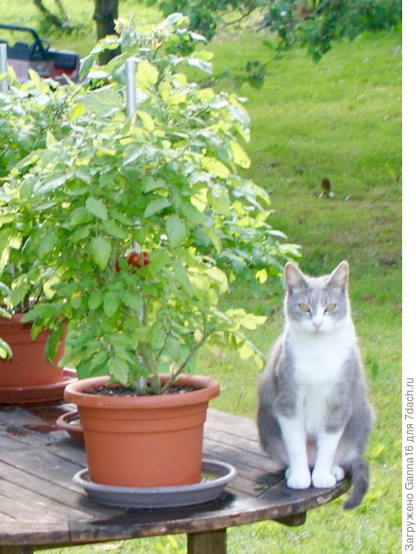 И я присоединяюсь к поздравлениям