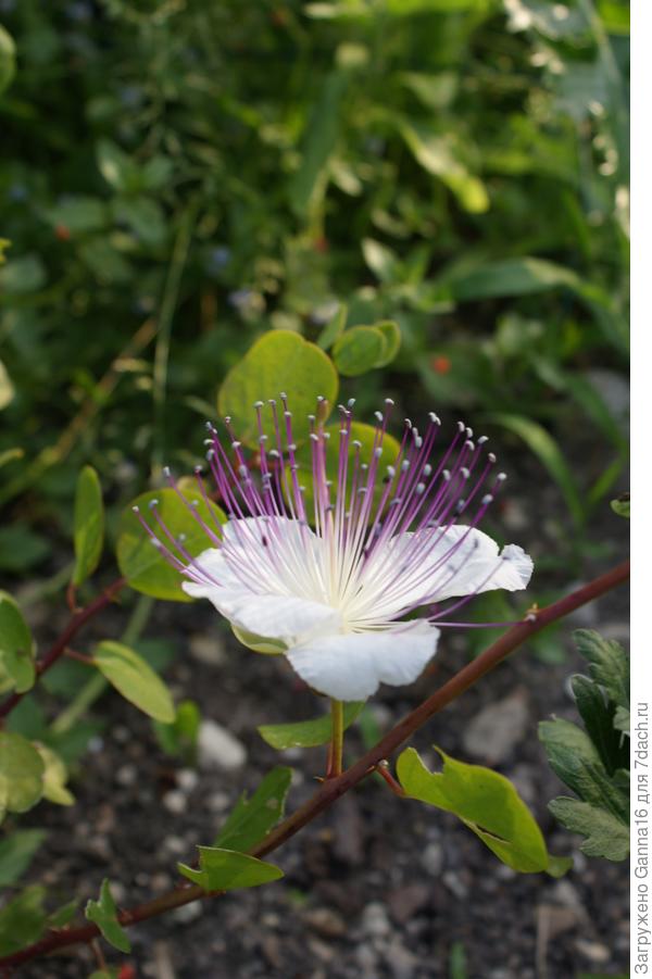 На это любоваться