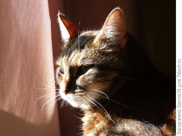 И игнорировать