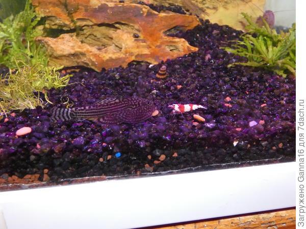 Знакомство