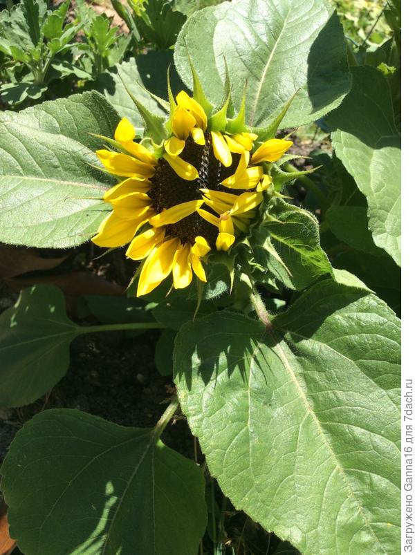 Лето уже в пути