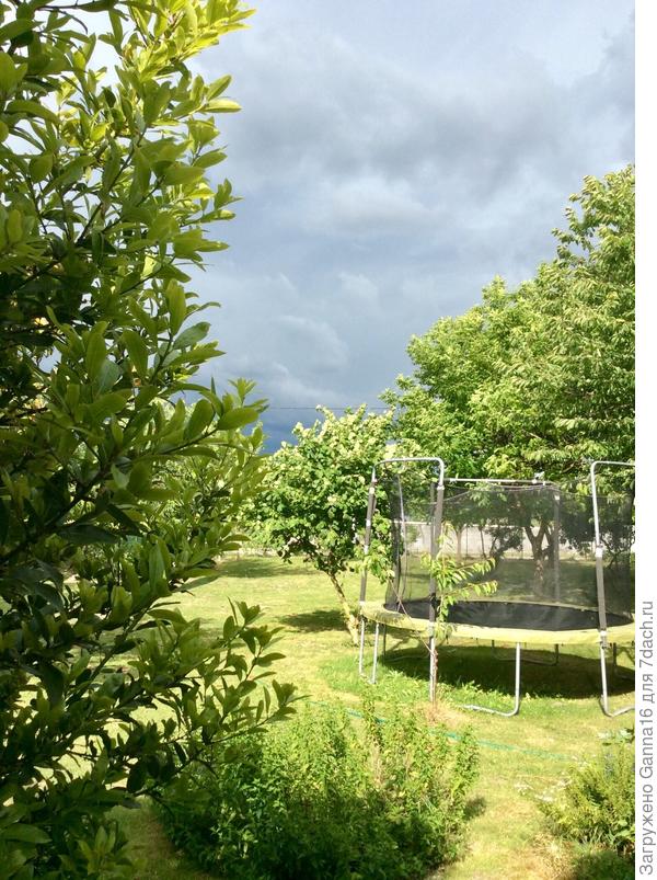 Вид из окна