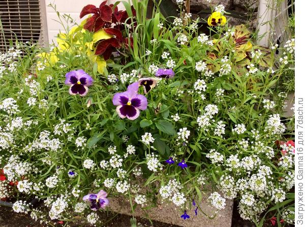 Угадай, где они?