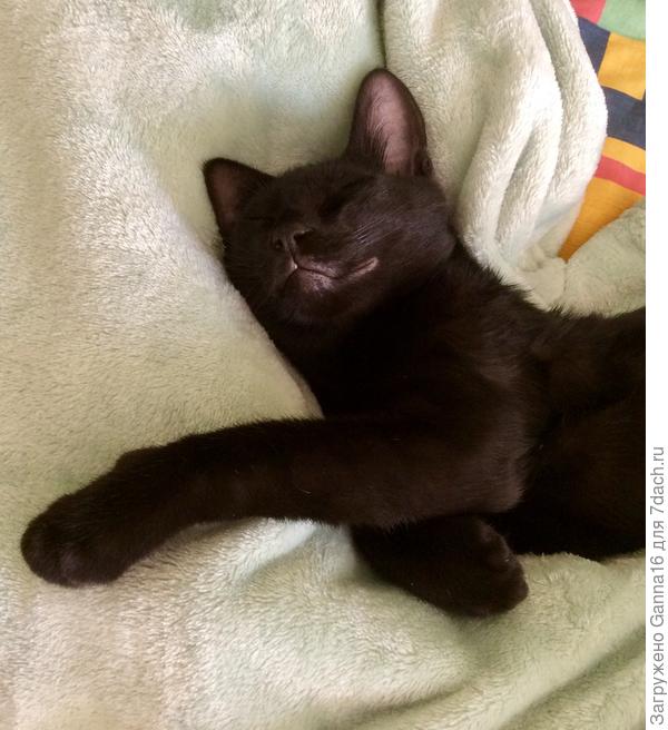 Жизнь удалась