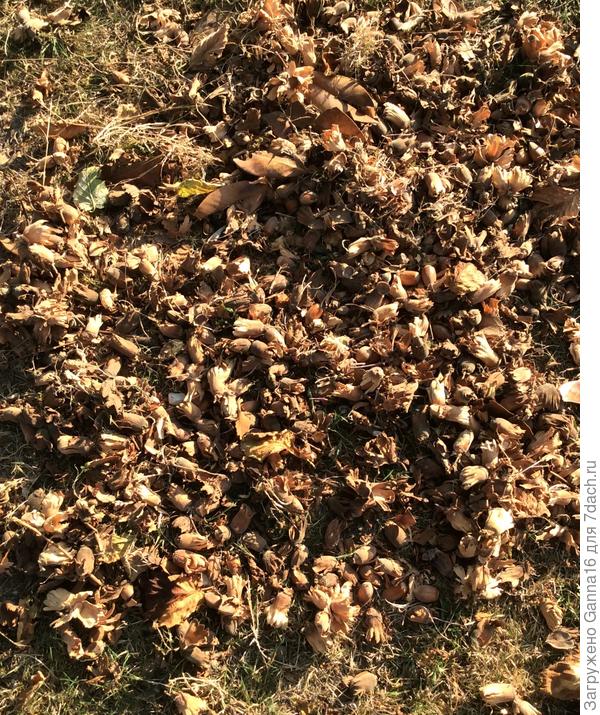 Есть работа мелким...