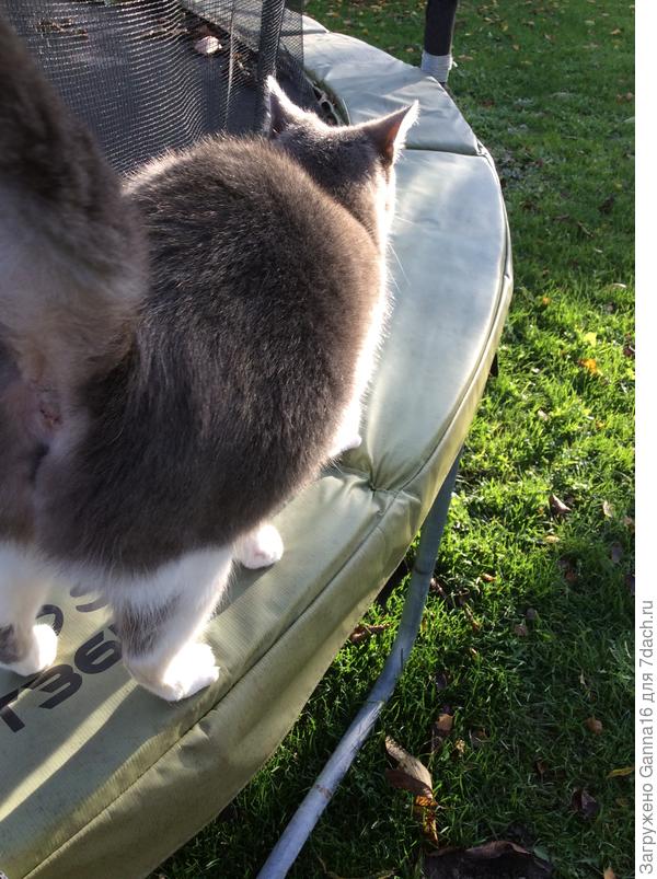 Писташ не любит фотографироваться.