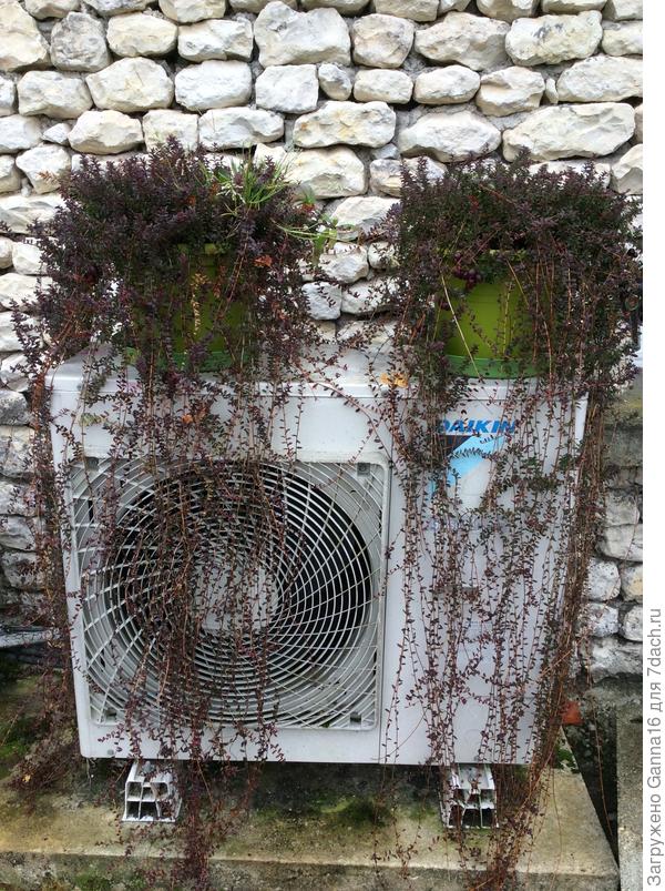 На сегодняшний день выглядит вот так