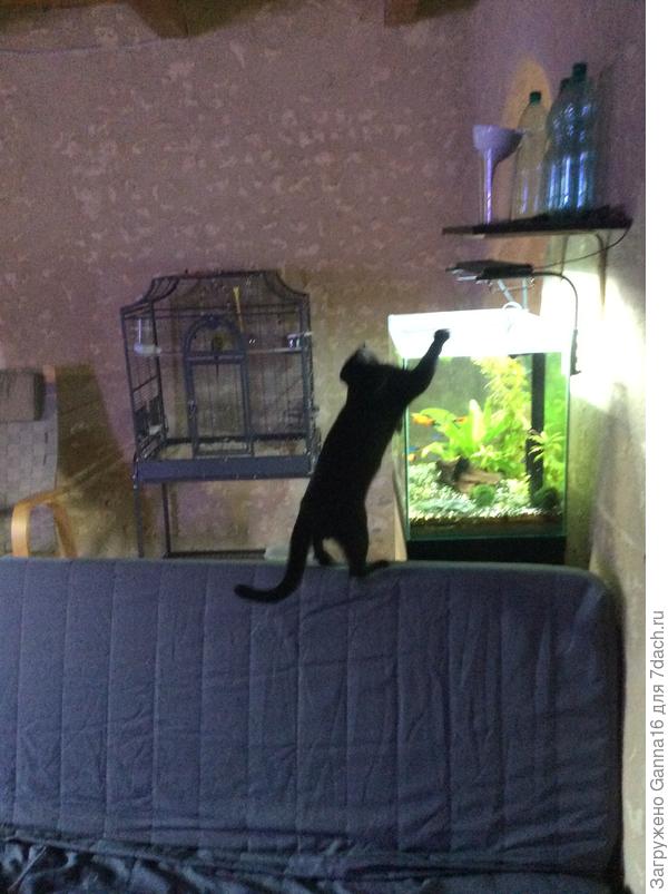 .... кто рыбку ловит....