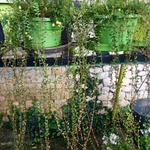 Прошлым летом