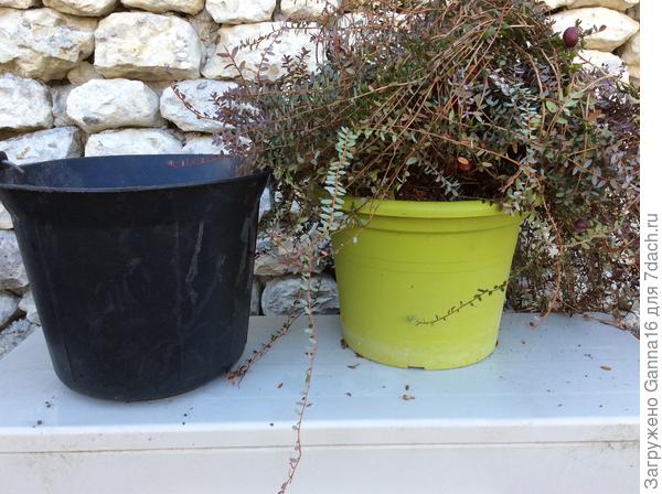 Горшок и ведро