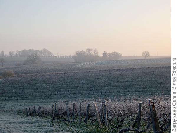 Редкое зрелище